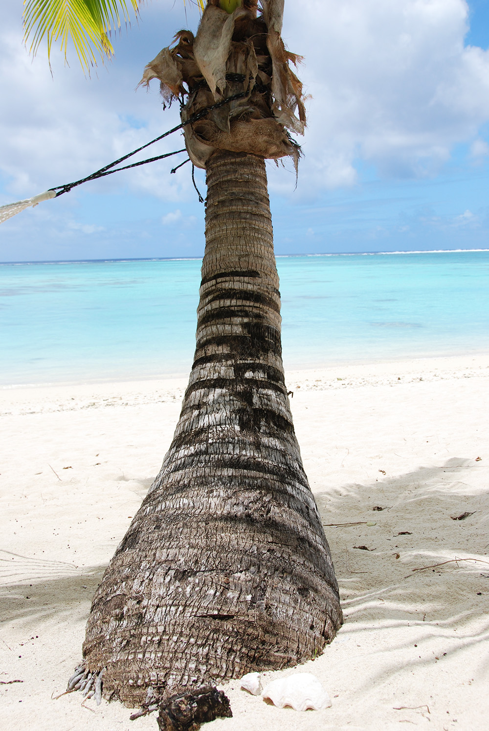 The Cooks Cooköarna Aitutaki © Resor och äventyr All rights reserved