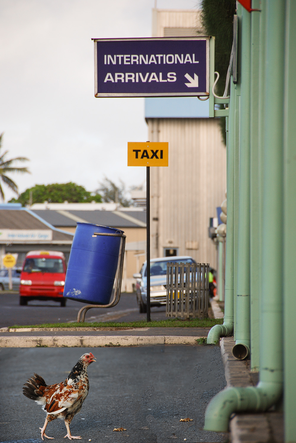 The Cooks Cooköarna Rarotonga Airport © 2017 Resor och äventyr All rights reserved
