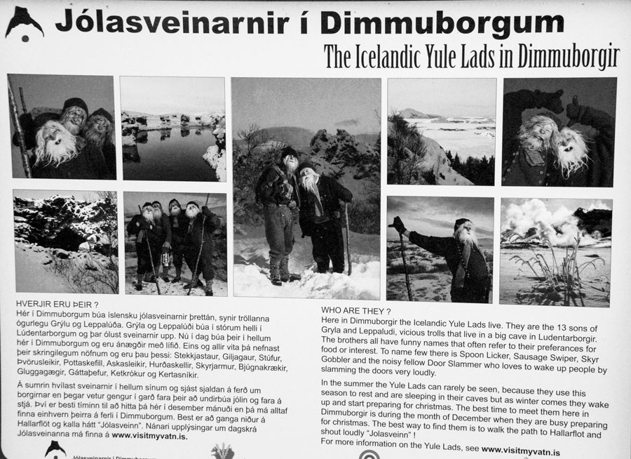Dimmuborgir Ridresa Islandshäst ridning Island © 2017 Resor och äventyr. All rights reserved.