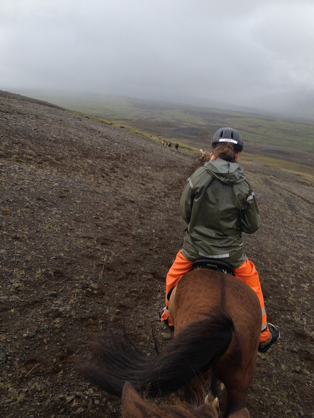 horseback riding Icelandic horse Iceland © www.resorochaventyr.se All rights reserved.