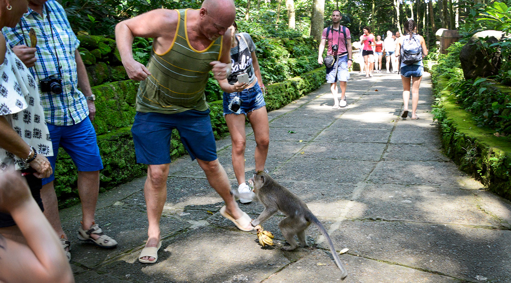 Bali tips Indonesia sacred monkey forest Nusa Dua Seminyak © www.resorochaventyr.se