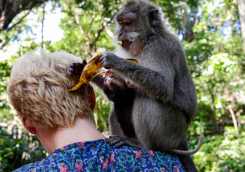 Bali tips Indonesia sacred monkey forest Nusa Dua Seminyak © www.resorochaventyr.se